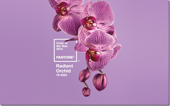 2014 Pantone Color of the Year: Radiant Orchid